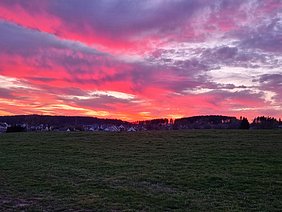 Grüne Wiese mit dunklem Wald im Hintergrund unter einem dramatischen Sonnenuntergangshimmel mit roten und violetten Wolken